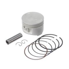 Imagem de Pistao Kit C/Anel Rik Premium Xt 225 0.75