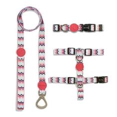 Imagem de Kit Guia + Coleira + Peitoral | WAVE