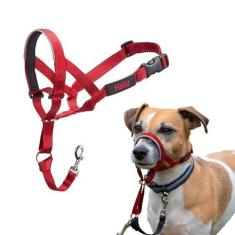 Imagem de Coleira HALTI - para impedir que seu cão puxe a coleira. Ajustável, refletivo e leve, com faixa de nariz acolchoada. Coleira antitração de treinamento de cães para cães pequenos (tamanho 1, vermelho)