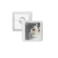 Imagem de Kit de atualização para jogos com teclado mecânico PBT com perfil de animal de estimação 