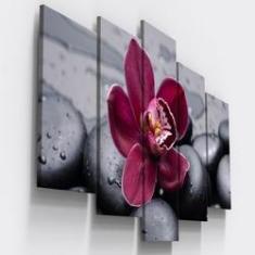 Imagem de Quadros Decorativos Orquidea Flor Botanico Sala Copa