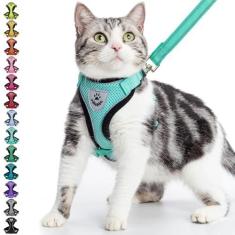 Imagem de PUPTECK Conjunto de coleira e peitoral para gatos - colete ajustável à prova de fuga para gatos pequenos e médios, malha macia retrátil respirável para o exterior com tiras refletoras