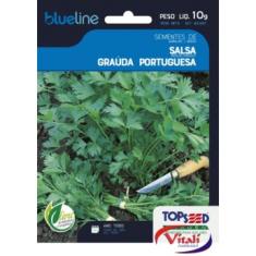 Imagem de Semente salsa graúda portuguesa