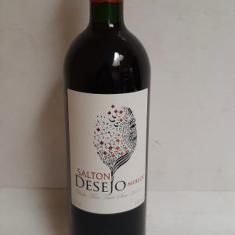 Imagem de Vinho Salton Desejo Merlot 750ml