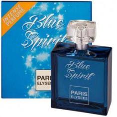 Imagem de Perfume Blue Spirit 100ml - Paris Elysses