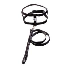 Imagem de Coleira Peitoral Tradicional Com Aplique - Nº 05 - Nicapet