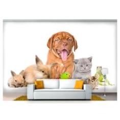 Imagem de Papel De Parede Cão Gato Piriquito Coelho 3D Anm220