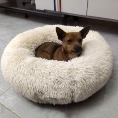 Imagem de KAIJIE Cama ortopédica para cães, confortável, cama redonda para cães e filhos, ultramacia, lavável, para cães e gatos, cama de pelúcia fofa para gatos com diâmetro de 120 cm