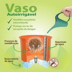 Imagem de 3 Vasos Antidengue AutoIrrigável  3 Sup Treliça Raiz N2