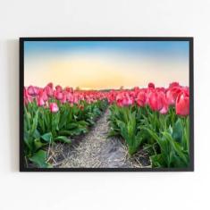 Imagem de Quadro Decorativo Fotografia Campo de Tulipas 45x34cm
