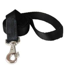 Imagem de Coleira para cachorro 2,5 cm de largura de nylon 1,8 m de comprimento com fecho de couro preto grande