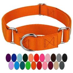 Imagem de Coleira Country Brook Petz Martingale para cães - Coleira de treinamento resistente sem fivela - Coleira para cães de serviço para todos os filhotes - Coleção vibrante e colorida (laranja, 2,5 cm,
