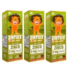Imagem de KIT 3X ZINTRIX (Zinco Infantil) 20ml - Flora Nativa Sabor:Morango