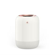 Imagem de Umidificador De Ar Difusor De Óleo Essencial Sem Fio De 1000 - Wokex