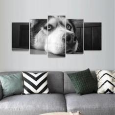 Imagem de Quadro Husky Siberiano em  e  Mosaico 5 Peças