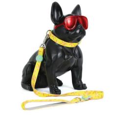 Imagem de Coleira E Guia Para Cachorro Madog Floral