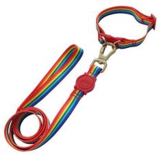 Imagem de Coleira Com Guia Para Cachorro Ajustável Com Trava De Segurança Rosque