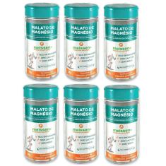 Imagem de Kit 6 X Malato De Magnésio 60 Caps 500Mg Meissen