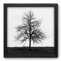 Imagem de Quadro Decorativo - Árvore - 33cm x 33cm - 013qnpbp