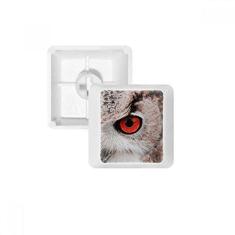 Imagem de Kit de atualização para jogos PBT teclado mecânico coruja animal organismo terrestre da Pcture