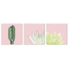 3 Quadros Decoração Cactos Natureza Desenhos Molduras