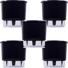 Imagem de Vaso Raiz Auto Irrigável Médio N3  Temperos Kit 5 Peças