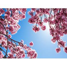 Imagem de Papel De Parede Flores Floral Flor Natural 3D  Nfl160