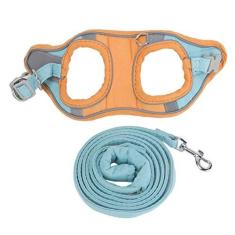 Imagem de Conjunto de Coleiras para Gatos, Coletes Refletivos à Prova de Fuga e Coleiras para Caminhadas Ao Ar Livre (XG)