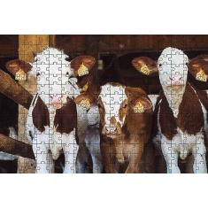 Imagem de Quebra-Cabeça Cognitivo Vaquinhas 300 peças