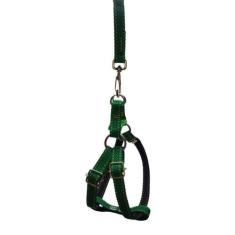 Imagem de Coleira Peitoral Riscadinho Americano - Verde Nº 00 - Nicapet