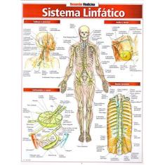 Imagem de Resumão Sistema Linfático - França, Maria Ignez T. - 9788588749412