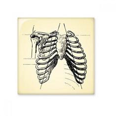 Imagem de Adesivo brilhante de ejo de cerâmica com desenho de esqueleto humano de osso canelado