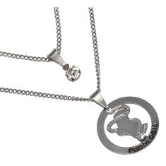 Imagem de Colar Cordão Duplo Profissão Podologia Podóloga Inox