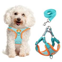 Imagem de Peitoral para cães pequenos, ajustável, antipuxão, confortável, refletivo, conjunto de coleira e coleira com 2 clipes de coleira, para cães pequenos e médios