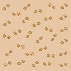 Imagem de Papel De Parede Adesivo Patinhas Salmão N06195 Rolo 0,58X3M