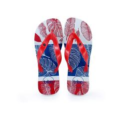 Imagem de Chinelo Borracha Masculino Estampa De Pena Dia A Dia