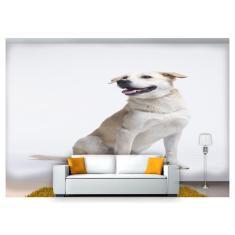 Imagem de Papel De Parede Cachorro Vira Lata Sentado 3D Anm234