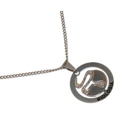 Imagem de Colar Cordão Minha Profissão Biologia Bióloga Inox