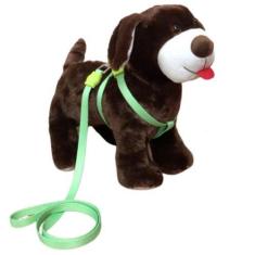 Imagem de Coleira Peitoral Super Premium Mosquetão Rosca - Verde Nº 3 - Nicapet