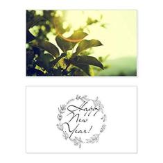 Imagem de Sunshine Leaves Plant Picture Nature New Year Festival Cartão de felicitações Bless Message Present