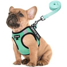 Imagem de FAYOGOO Peitoral para cães pequenos – Leve para cães de serviço com arnês de treinamento com 6 peças de adesivos removíveis – Peitoral para cachorros para treinamento de caminhada