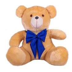 Imagem de Urso Teddy De Pelúcia Tamanho 50cm G - Thamybaby