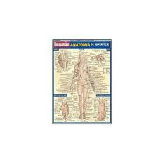 Imagem de Resumão Anatomia de Superfície - França, Maria Ignez T. - 9788588749573