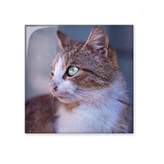 Imagem de Adesivo brilhante de ejo de cerâmica com perfil de gato marrom e olho selvagem