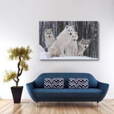 Imagem de Quadro Decorativo Lobos Paisagem Com Tela Em Tecido