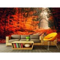 Imagem de Papel de Parede Paisagens Floresta 151 - 1,00 X 1,00