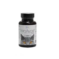 Imagem de Renavast Gatos 300 Mg Com 60 Capsulas Inovet