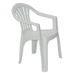 Imagem de Cadeira Plastica Monobloco Com Bracos  Bertioga 