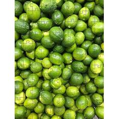 Imagem de Quebra-Cabeça 24 peças atividades para Idosos Peças grandes 6un