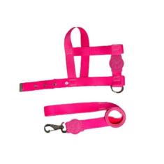 Imagem de Coleira Peitoral Neon Para Cães Tradicional 25mm - Rosa Nº6 - Nicapet